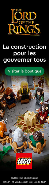 LEGO 43221 100 ans d'icônes Disney - LEGO Disney Princess - BricksDire  Condition Nouveau.
