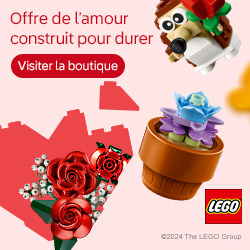 LEGO® 40460 Fleurs ROSES pour la fête des mères bouquet de fleurs