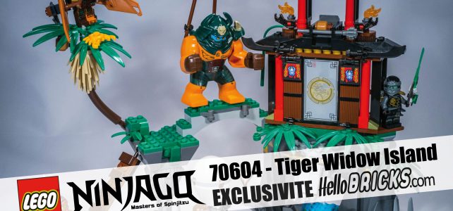 70604 - NINJAGO - Tiger Widow Island