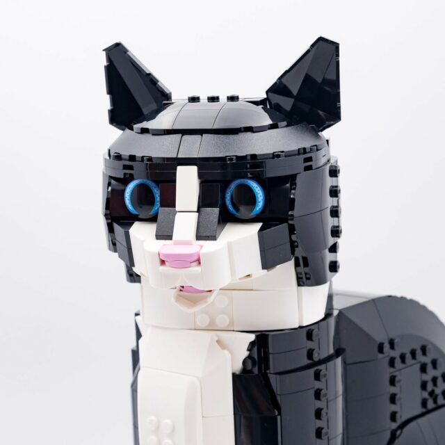 Review LEGO Ideas 21349 Tuxedo Cat
