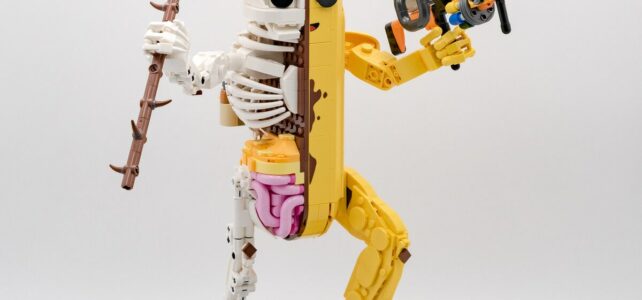 Review LEGO Fortnite 77072 Peely Bone