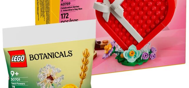 Prolongation du cadeau LEGO 40759 Saint Valentin et nouveau polybag 30701 Botanicals offert