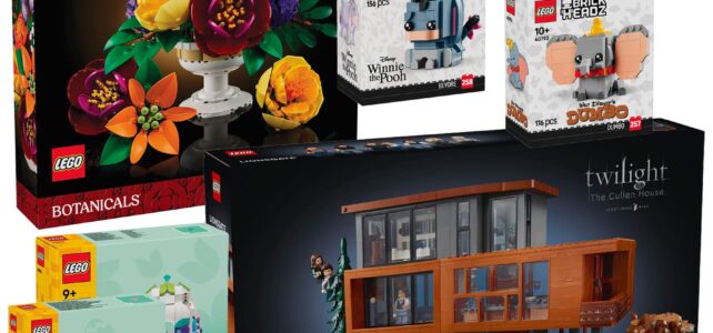 Guide d'achat LEGO février 2025 : les nouveautés sont disponibles !